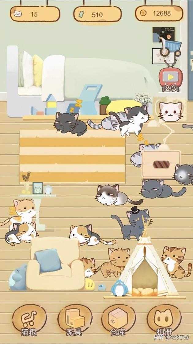 猫咪乐园游戏(猫咪家园游戏)插图4